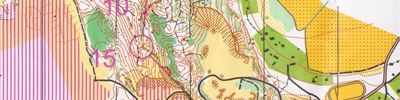 Rautiarastit Pälkäne 30 5 2015 kartta 1